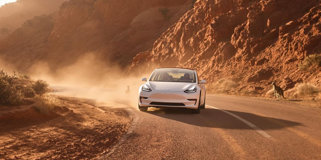 Tesla driving Australian outback.